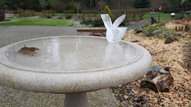 Photo: Bj Winskowski