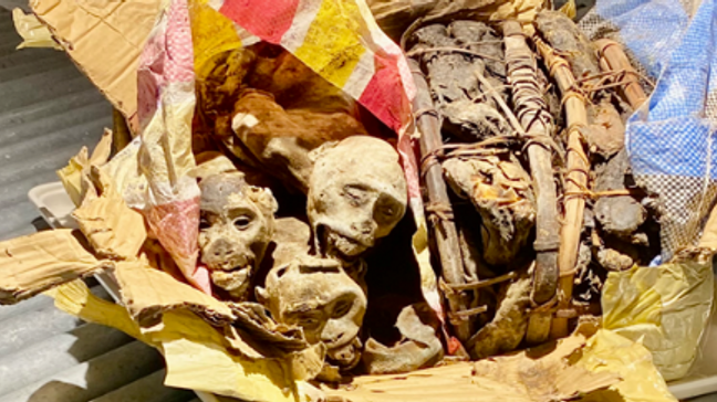 Dehydrated monkey meat referred to as bushmeat (CBP)