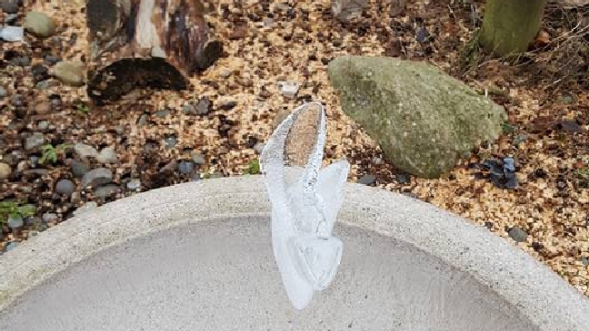 Photo: Bj Winskowski