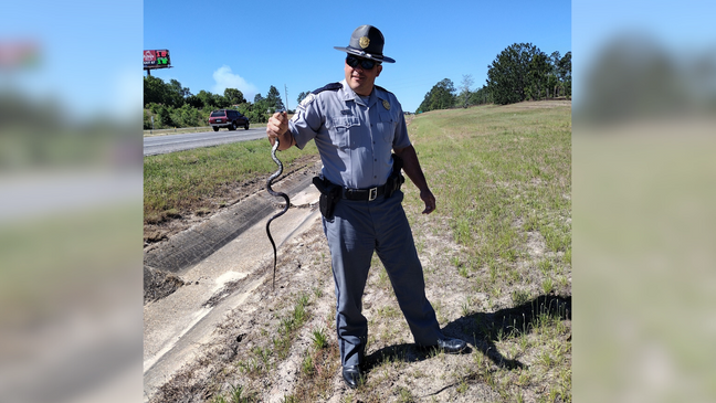 Sergeant Jonathan Oxandaboure posed holding a snake that he captured from a woman's car in Kershaw County on Friday, September 8, 2023. (SCDPS)