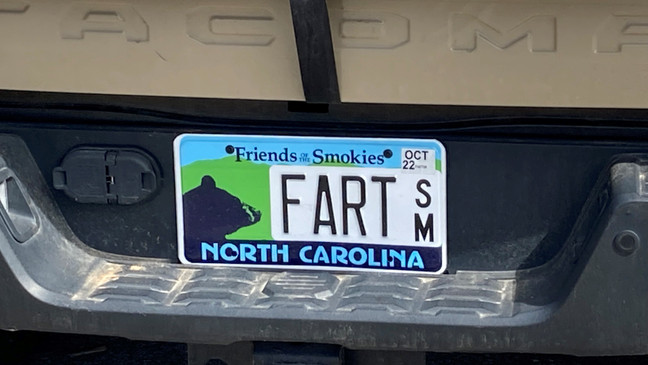 March 13, 2022 - An Asheville woman's clash with North Carolina's Department of Motor Vehicles to keep her custom license plate, which reads "FART," may have stalled as a group behind the effort to help her keep it met Sunday, March 13 at an Asheville park.{ } (Photo credit: WLOS Staff)
