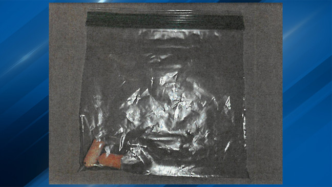 'Something magical may be at play': Lab reveals results of DNA test for Santa, reindeer (Cumberland Police Department)