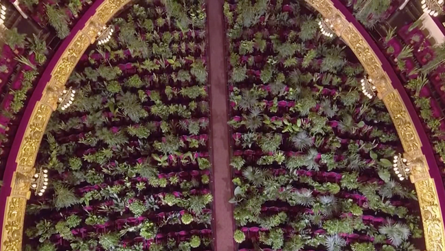 Barcelona's Opera House has reopened and its inaugural performance was to an audience of more than 2,000 plants. (Photo:{ } LiceuOperaBarcelona/YouTube via CNN Newsource)