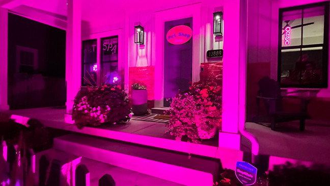 GALLERY: Utah residents transform neighborhood into Barbieland for Halloween (KUTV)