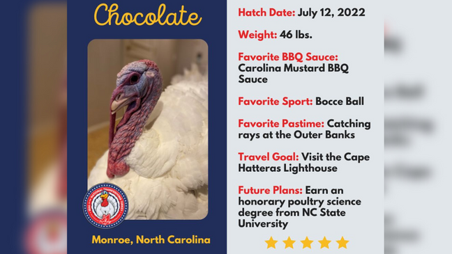 The National Thanksgiving Turkeys arrived in Washington, D.C. on Saturday, Nov. 19, following a trek to the nation's capital from North Carolina. (Photo courtesy of National Turkey Federation)