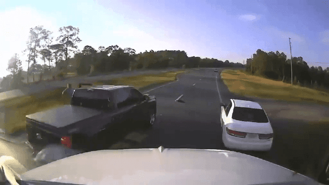 VIDEO: Driver stopping for turtle causes chain reaction crash in Florida (Walton County Sheriff's Office) 