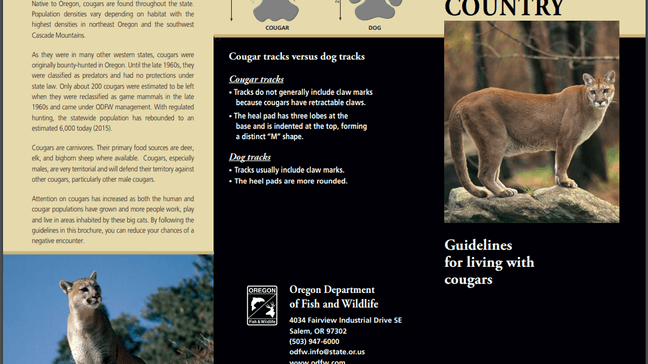 Oregon is home to thousands of cougars. (SBG)