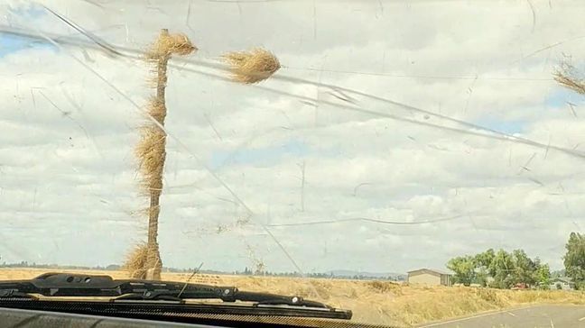 A dust devil strikes a pickup truck in Lebanon, Oregon on July 2, 2018 (Photo: Jennifer Scott)