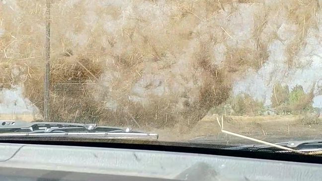 A dust devil strikes a pickup truck in Lebanon, Oregon on July 2, 2018 (Photo: Jennifer Scott)