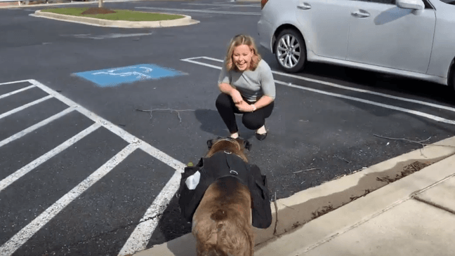 Wine doggo at Maryland winery delivers bottles curbside during COVID-19 pandemic. (ABC7 File Photo)