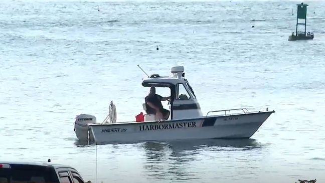 A New York woman was killed in a shark attack near Harpswell Monday afternoon, according to the Maine Department of Marine Resource. (WGME)