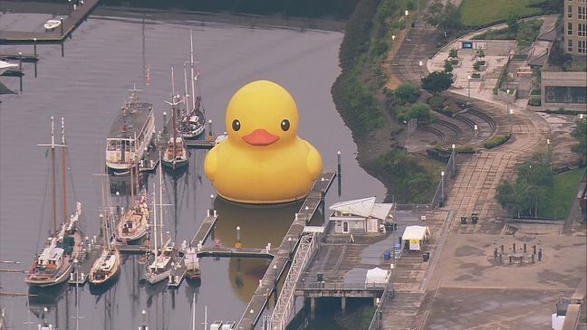 Giant rubber duck spotted in Tacoma