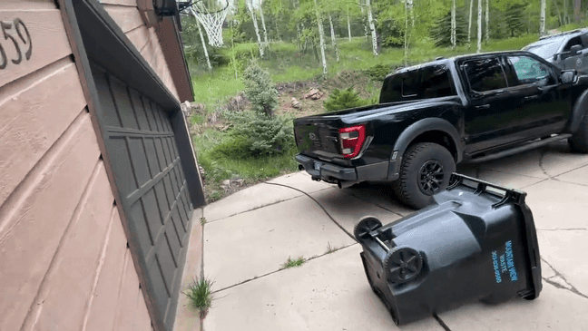 Official frees bear trapped inside a locked truck (Courtesy: Colorado Parks and Wildlife)