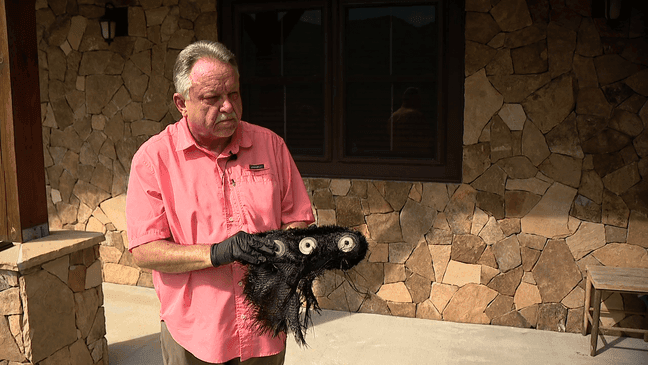 June 3, 2024 - Mike Wooten, of Franklin, NC, reached out to News 13 after hearing about a previous report showcasing some possible space debris at a Canton home. He says around May 21, a black object came down on his house, with what appears to be carbon fiber weaving and burnt titanium on it. (Photo credit: WLOS Staff)