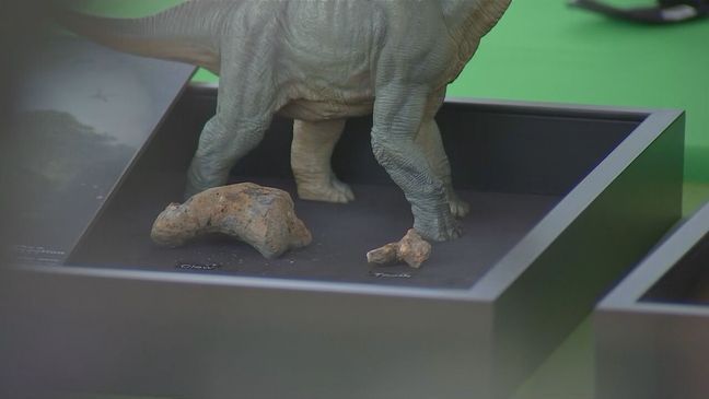 Officials host a Wednesday, July 12, 2023, press conference after a rare dinosaur bone bed was recently discovered at M-NCPPC Dinosaur Park in Laurel, Maryland. (7News)