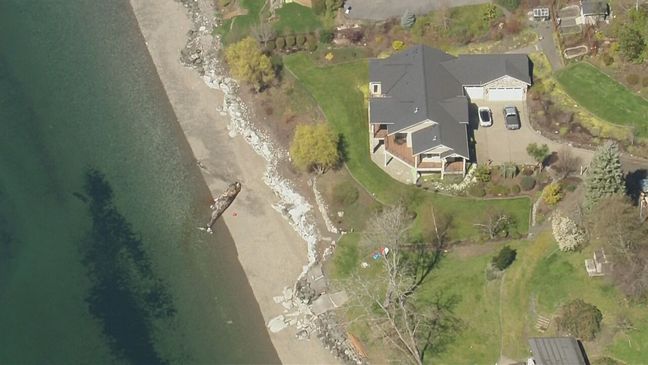 According to the Washington Department of Fish and Wildlife, a 12.5-meter (41-foot) adult male gray whale was found on the shore on Fox Island in Pierce County, about 5 miles from Gig Harbor, on April 1. (KOMO News)