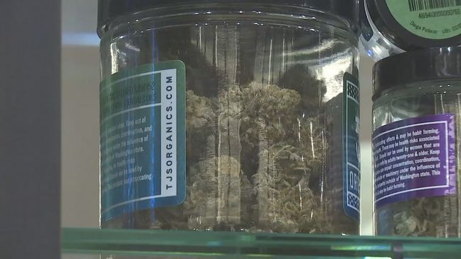 The state's legal marijuana industry is gasping for help, following the rollout of new tracking software that many growers say doesn’t work. (Photo: KOMO News)