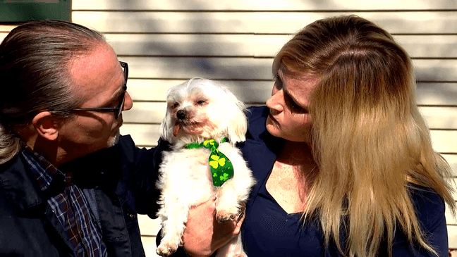 Howie, a Maltese show dog, spent five years in a puppy mill where his teeth were pulled and vocal cords cut. But a North Carolina family was able to take him in when he was rescued. Now, he's a contender for this year's Cadbury Bunny Tryouts. (Photo credit: WLOS)