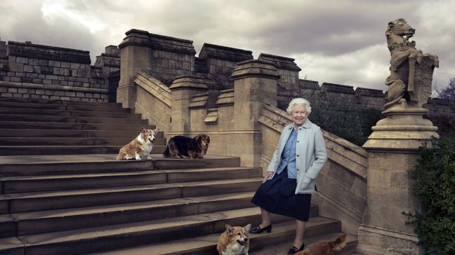 In this official photograph released by Buckingham Palace Wednesday April 20, 2016  to mark her 90th birthday, Queen Elizabeth II is seen walking in the private grounds of Windsor Castle, in England, on steps at the rear of the East Terrace and East Garden with four of her dogs: clockwise from top left Willow (corgi), Vulcan (dorgie), Candy (dorgie) and Holly (corgi). (Â© 2016 Annie Leibovitz   via  AP) MANDATORY CREDIT