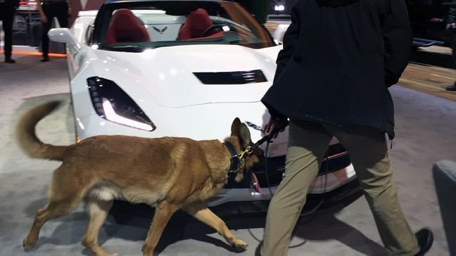 Bomb sniffing dogs do a pre-check in the Chevrolet display prior to Vice President Biden's arrival. (Sinclair Broadcast Group / Jill Ciminillo)