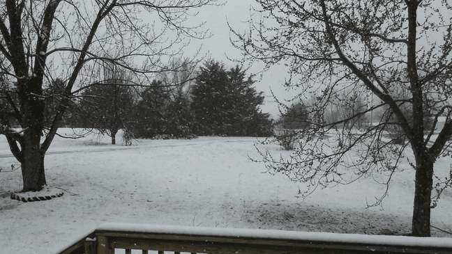 Hawk Lake in Fulton had was decorated with snow-covered branches. (Photo courtesy of Amy{&nbsp;}Taylor)