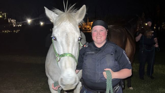 A handful of naughty horses were caught on campus at Virginia Tech after escaping their pasture Thursday night. (Virginia Tech Police)