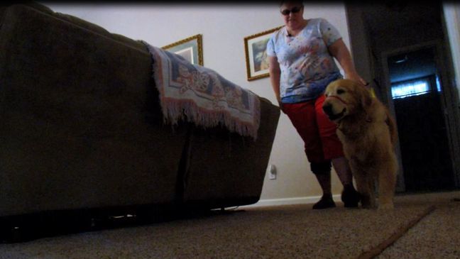 Mary Sedgwick was diagnosed with bilateral optic neuritis during her fourth year of medical school. Since 2003, she has been legally blind. But thanks to eSight Glasses, she was able to see her guide dog Lucy for the first time. (Photo credit: WLOS Staff)