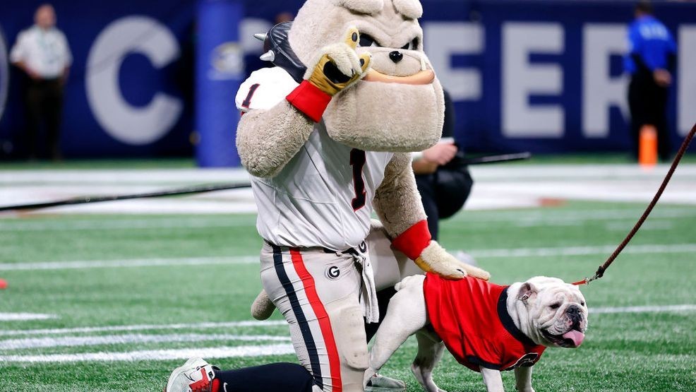 ATLANTA, GEORGIA - DECEMBER 02: Georgia Bulldogs mascot, Hairy Dawg greets UGA X prior to the SEC Championship game against the Alabama Crimson Tide at Mercedes-Benz Stadium on December 02, 2023 in Atlanta, Georgia. (Photo by Todd Kirkland/Getty Images)