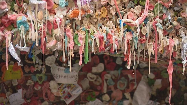 Dozens of pieces of gum are seen on a small section of the Gum Wall at Pike Place Market on Thursday, November 7, 2024. (KOMO News)