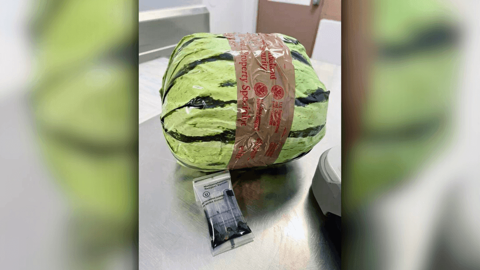 U.S. Customs and Border Patrol on Aug. 16, 2024, discovered thousands of pounds of meth disguised as watermelons in a shipment from Mexico to the United States. (Photo provided by U.S. Customs and Border Patrol)