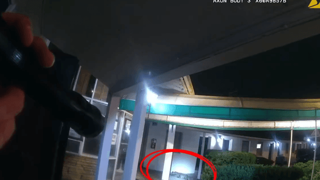 Fairfax County police had an unusual call early Monday morning, June 16, 2025. (Fairfax County police)