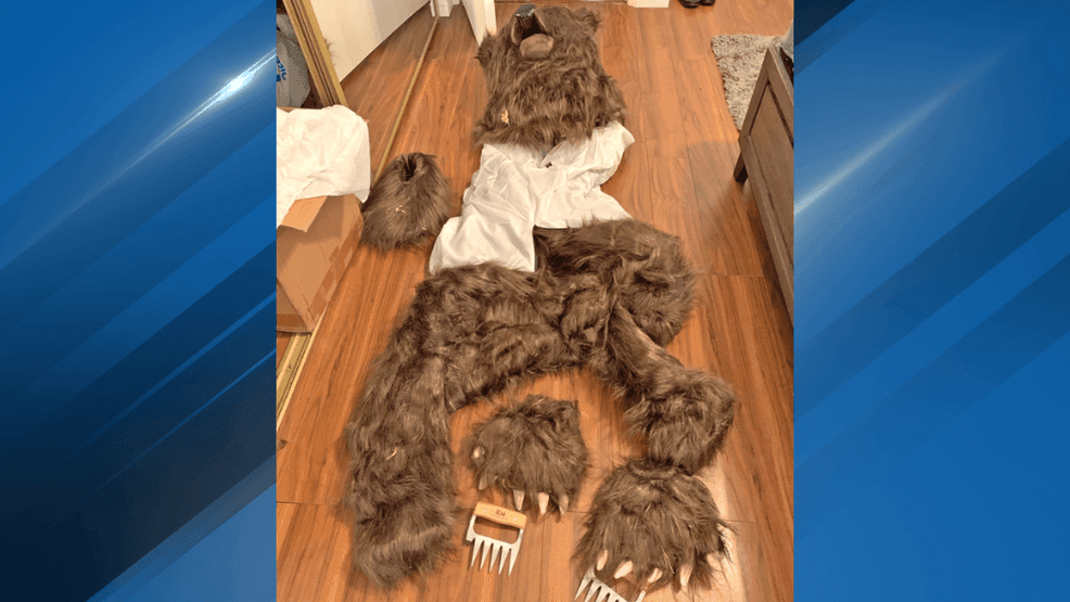 Image for story: California men use bear costume to pull off bizarre insurance fraud plot