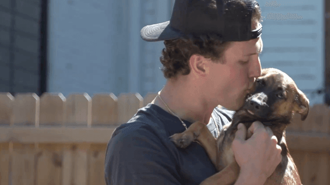 Dylan Mellor gives Oscar a kiss. Oscar is available for adoption through Mellor's organization, Tuckerwrld. Mellor began fostering dogs from kill shelters through social media after being approved through the appropriate steps and quarantine requirements.