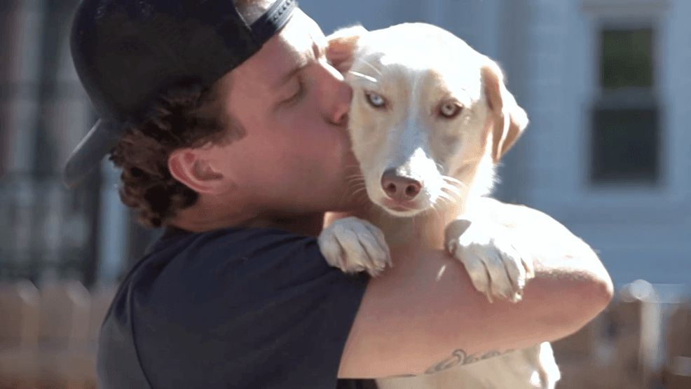 Image for story: D.C. dog rescuer: How an animal lover is saving dozens of dogs from kill shelters 