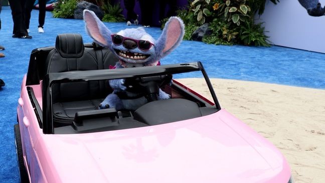 Stitch arrives on the carpet during the world premiere of Disney's Lilo & Stitch at El Capitan Theatre in Hollywood, California. (Photo by Jesse Grant/Getty Images for Disney)