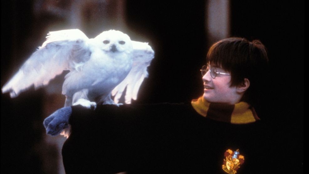 Image for story: 'Harry Potter' turns 25 this year and there are big plans to celebrate