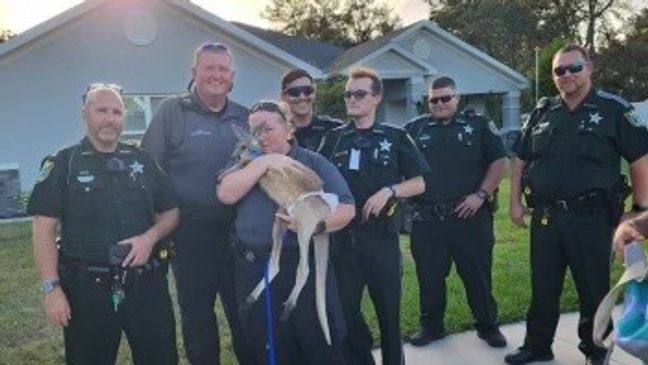 {p}It was a story you had to see to believe. The sheriff's office posted a photo of the{&nbsp;}Animal Enforcement officers, HCSO deputies, and the mischievous kangaroo. (HCSO){&nbsp;}{/p}