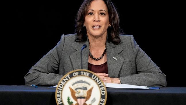 FILE - Vice President Kamala Harris speaks, Jan. 9, 2024, in Atlanta. (AP Photo/Mike Stewart, File)