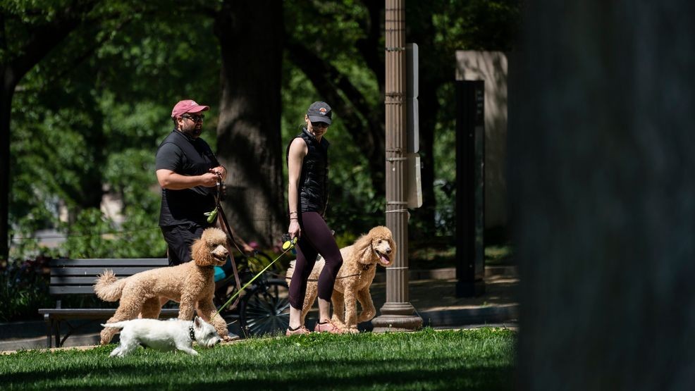 FILE - People walk dogs on the National Mall on May 2, 2020, in Washington, D.C. (Photo by Sarah Silbiger/Getty Images)