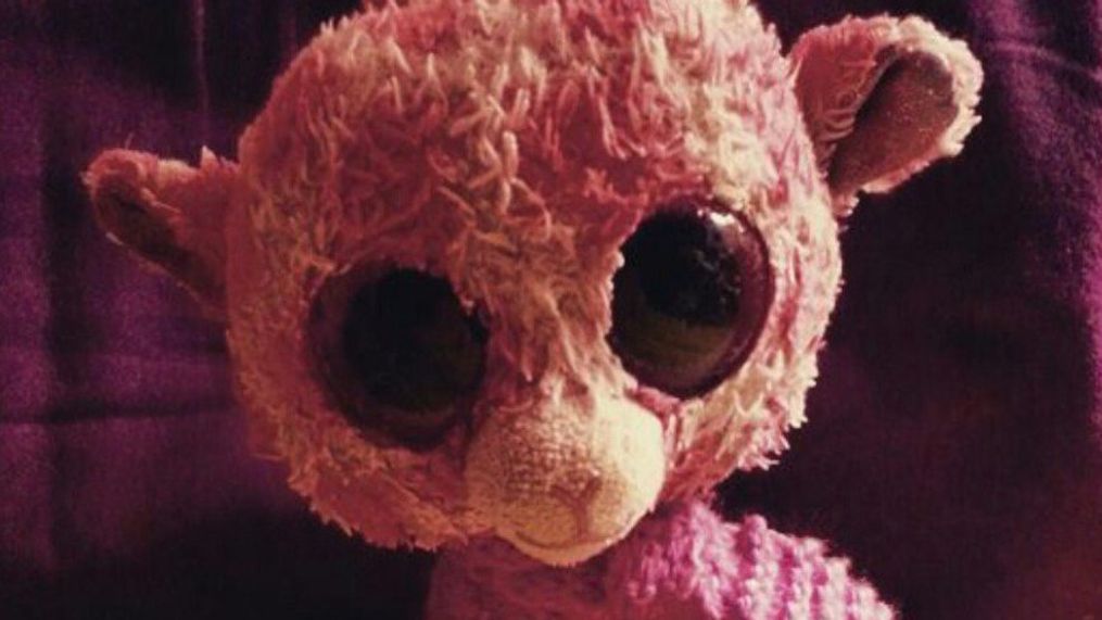 A Massachusetts woman has taken to social media in hopes of finding her daughter’s lost toy. (Erica Fletcher){&nbsp;}