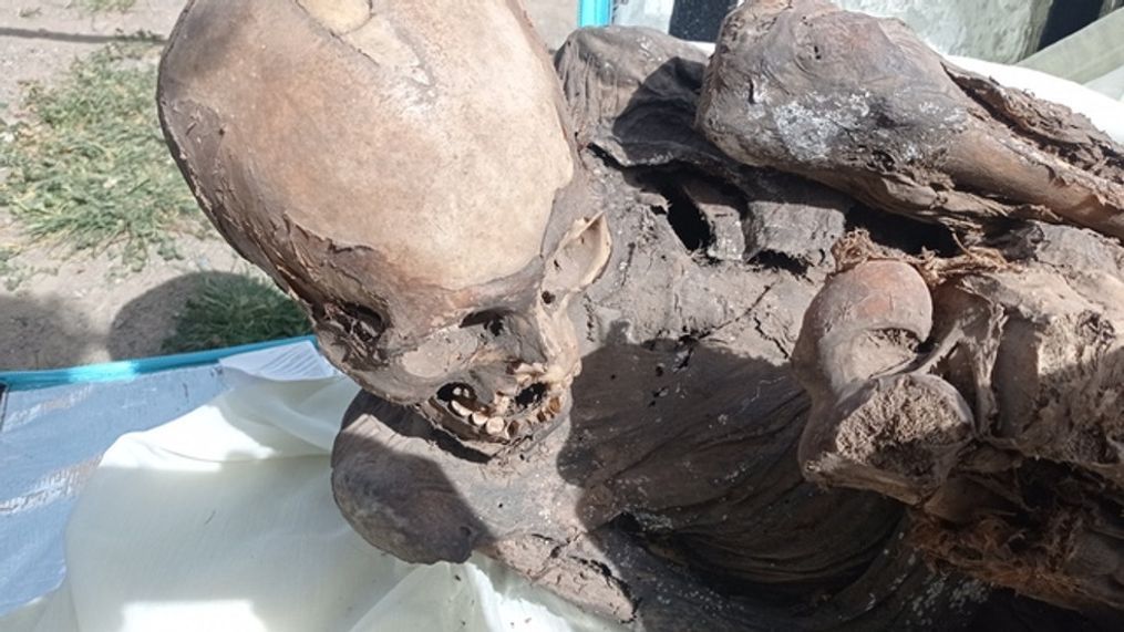 A preliminary investigation reportedly found the 600-800 year-old man was more than 45 years old and just under 5 feet tall, Feb. 26,{&nbsp;} 2023.{&nbsp;}(Plataforma digital única del Estado Peruano)