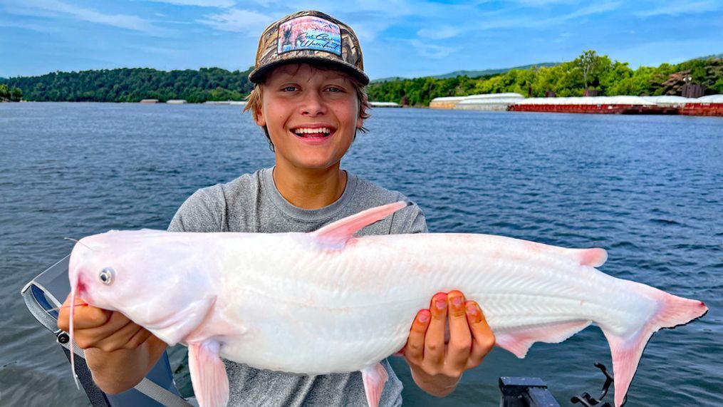 Edwards Tarumianz basically won the "catfishing lottery" when he captured a rare, all-white (leucistic) blue catfish from the Tennessee River near Chattanooga last week. Edwards' rare catch has been featured on websites across the country, and even around the world, thanks to social media. (Photo: Richard Simms)