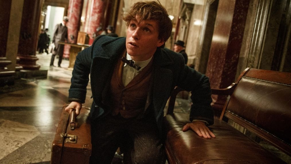 EDDIE REDMAYNE as Newt Scamander in Warner Bros. Pictures' fantasy adventure "FANTASTIC BEASTS AND WHERE TO FIND THEM," a Warner Bros. Pictures release. (Jaap Buitendijk)