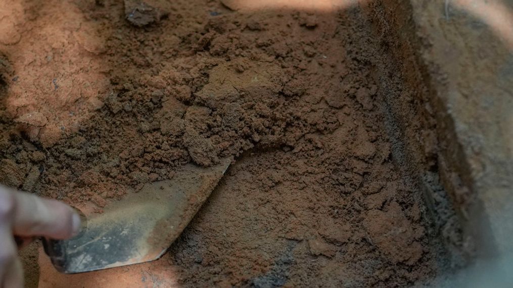 FILE PHOTO - A worker digs in Kisatchie National Forest, La., Wednesday, June 7, 2023. (AP Photo/Gerald Herbert)