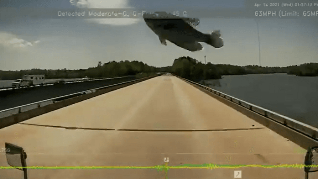 Bird drops fish onto truck’s windshield while driving in North Carolina (Credit: WardTransport/Twitter){&nbsp;}