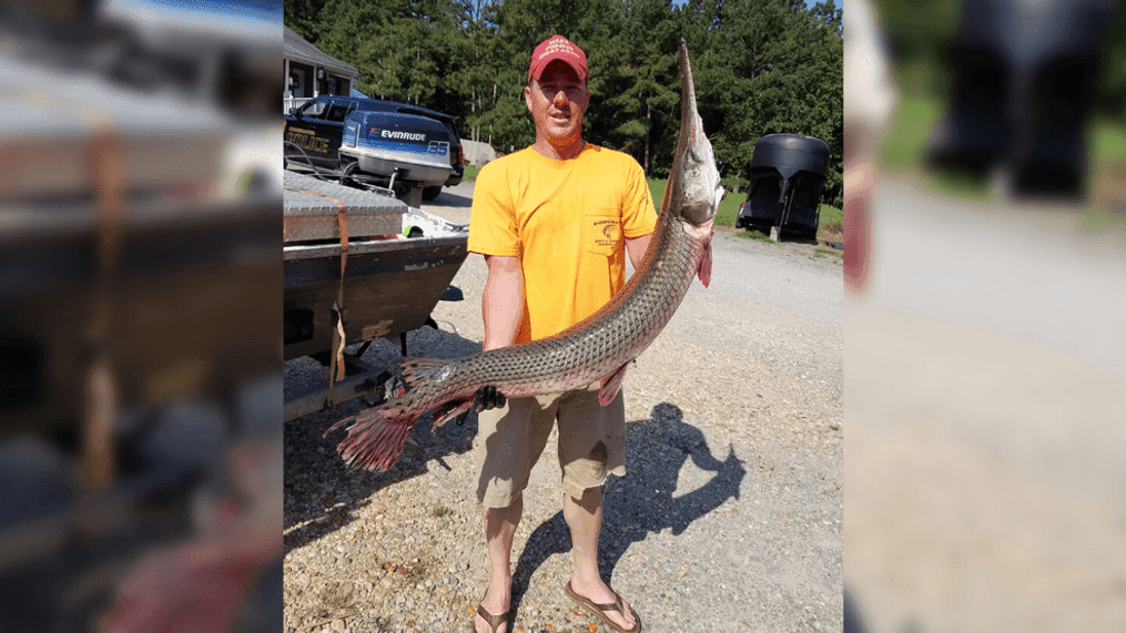 Shawn Kennedy, from Providence Forge, caught a 23-pound longnose gar from the Pamunkey River. (Virginia Department of Wildlife Resources)