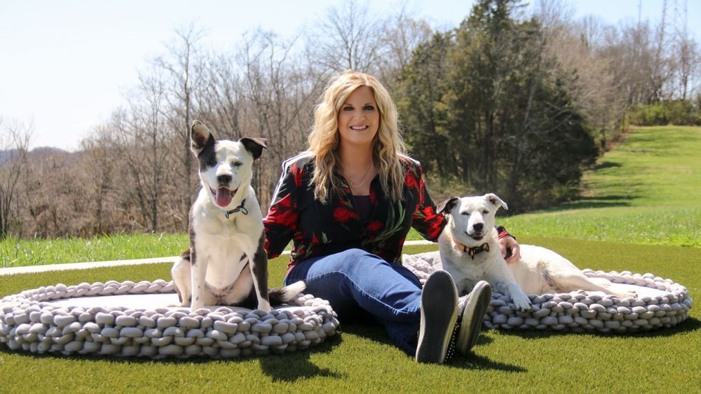 {p}Country star Trisha Yearwood unveiled her latest business venture Thursday. The GRAMMY Award-winning singer now has a pet collection with items like collars, leashes, washable bedding, natural dog treats and chews. (Photo: Trisha Yearwood Pet Collection){/p}{p}{/p}