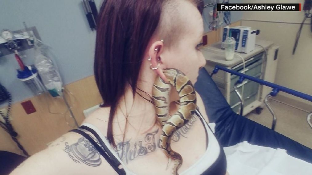 Portland woman gets python stuck in her gauge piercing. (Facebook/Ashley Glawe via CNN Newsource) 