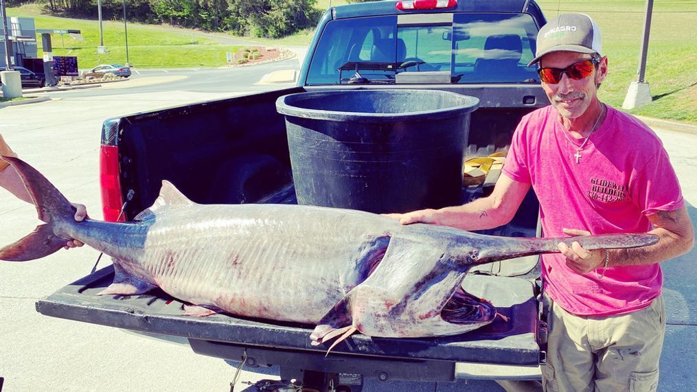 Tennessee angler Henry Dyer of Kingston reels in largest fish ever caught (Credit: Tennessee Wildlife Resources Agency)