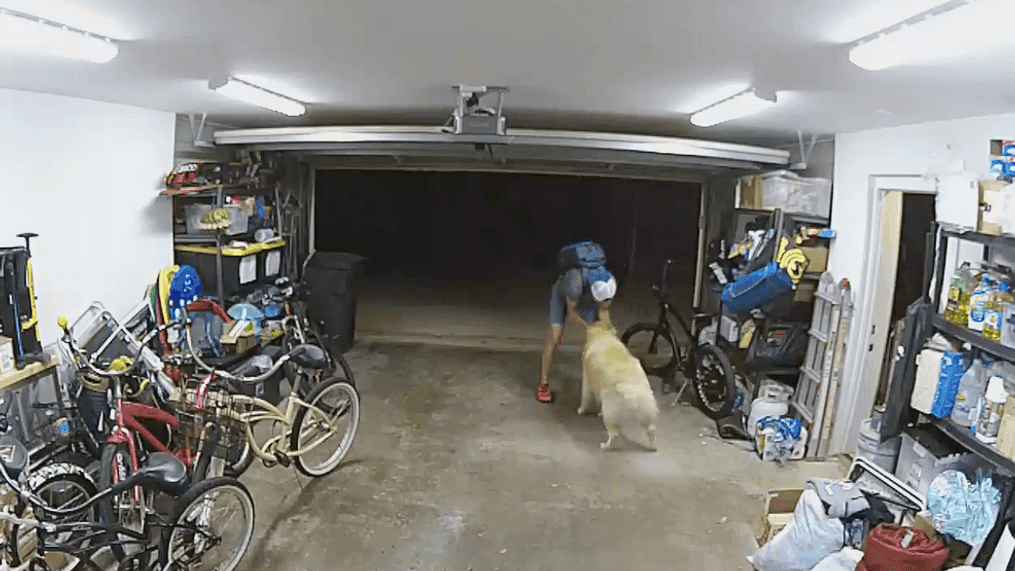  Bike thief takes a break to cuddle with family dog (Credit: San Diego Police Department)